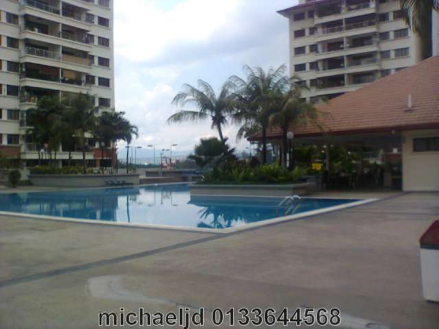 adult pool