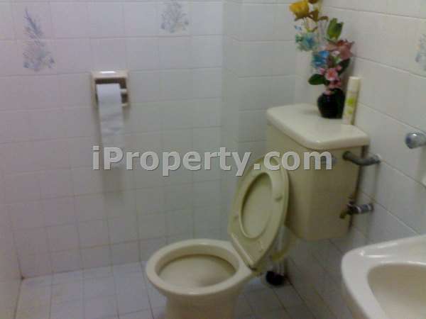 common toilet