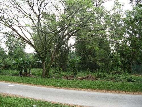 Bdr Teknologi Kajang, Semenyih, Kajang, 43500, Selangor
