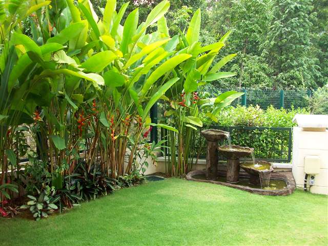 side garden