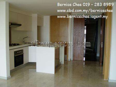 Open Kitchen with completed Kitchen cabinet
