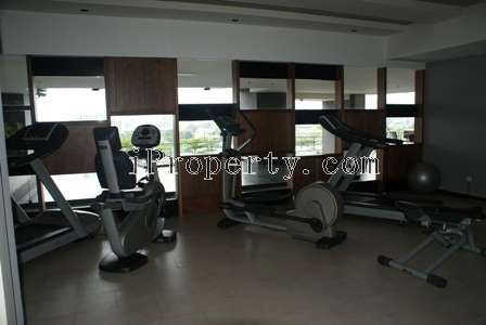 Gymnasium