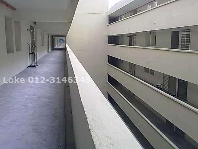 Loke 012-3146345