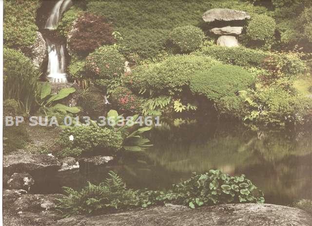6 Lanscape Garden