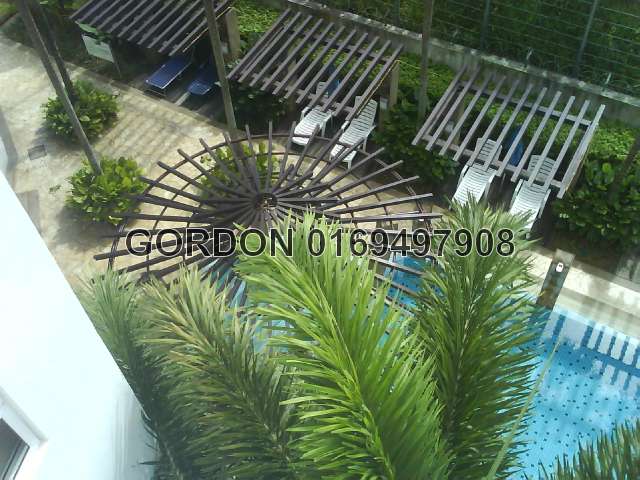 POOL VIEW FROM THE TOP
