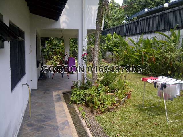 BACK GARDEN