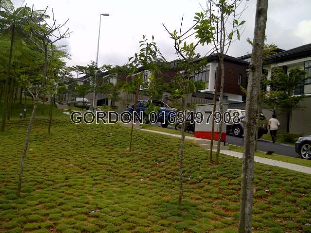 GARDEN LANDSCAPE