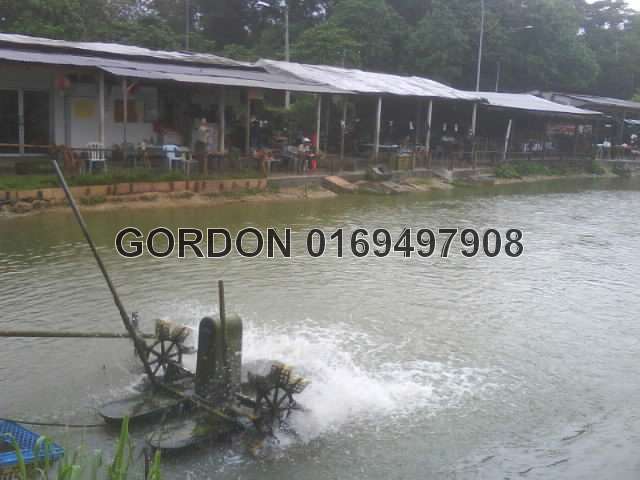 DESA FISHING POND