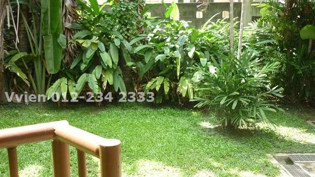 Back Garden