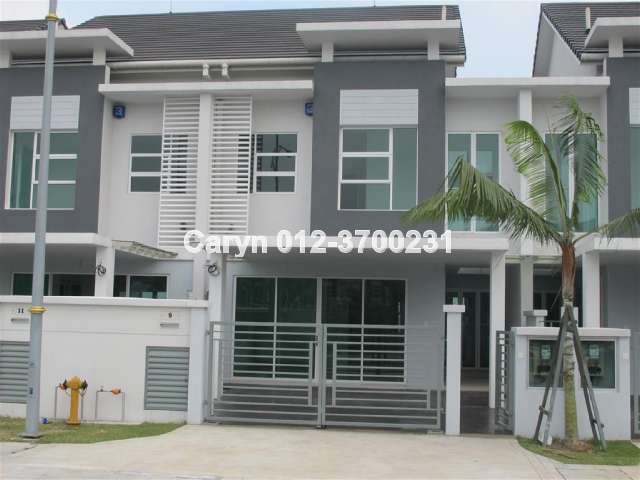 Grandis palms