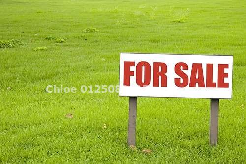 Chloe 0125082117