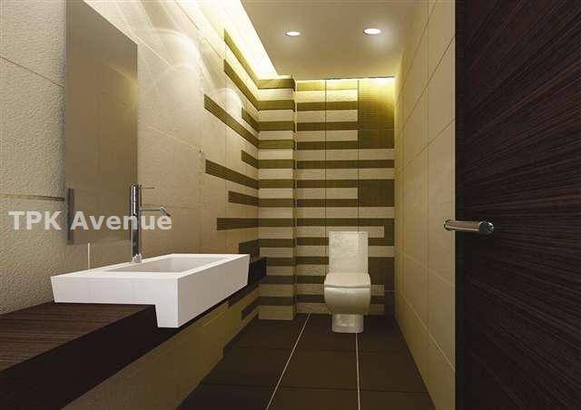 Designer Toilet (Type B)