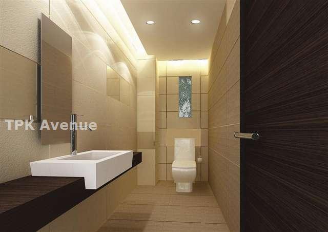 Designer Toilet (Type A)