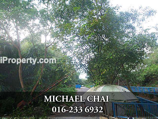 Forest View