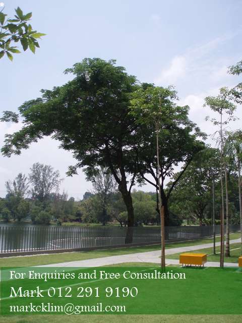 Garden By The Lake