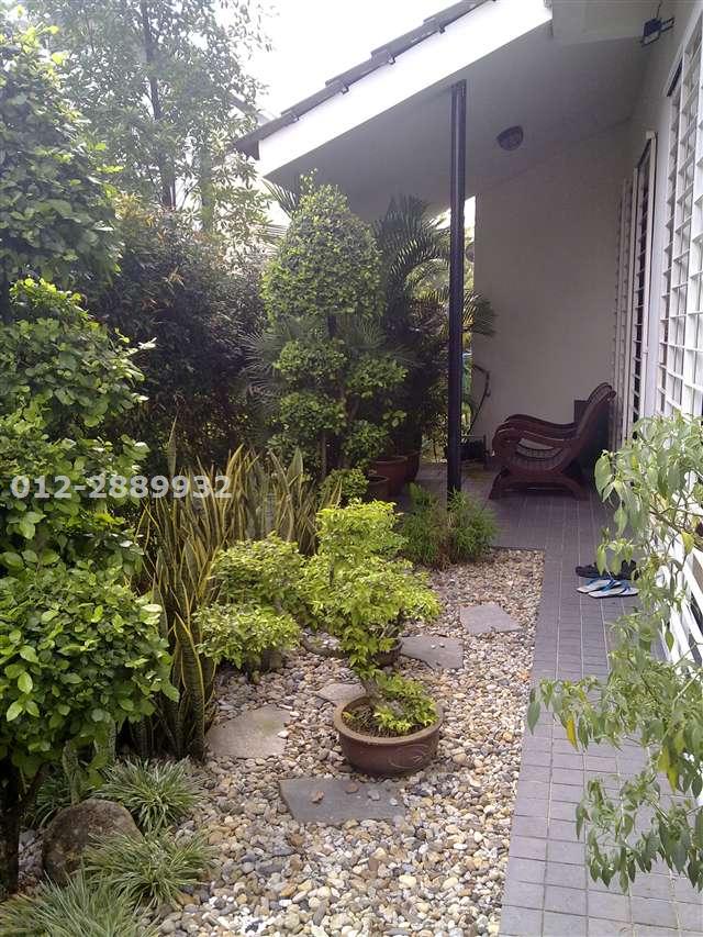 garden at the back house