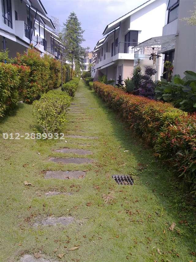 back lane garden