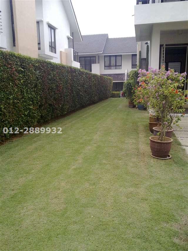 12 feet extra land