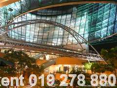 one utama the rainforest