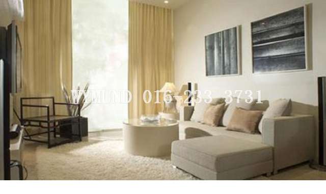 Designer Impression