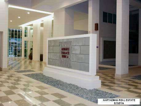 main picture