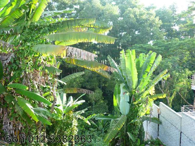 BAck ravine with reserve land