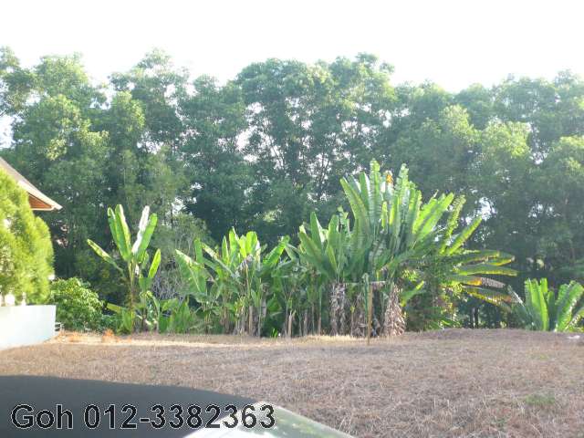 BAck ravine with reserve land