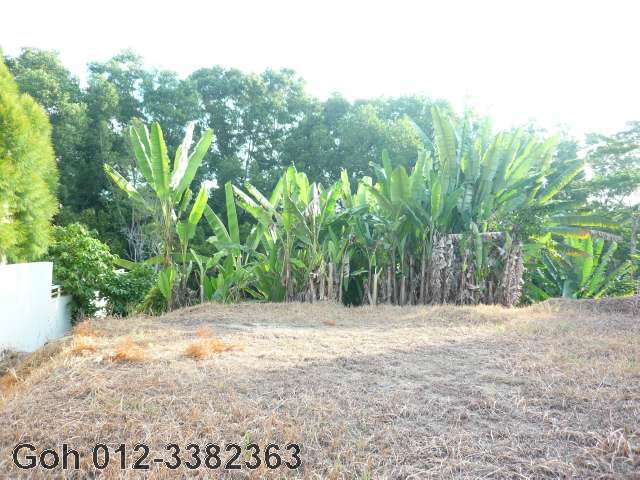 view from the back neighbour looking into the land