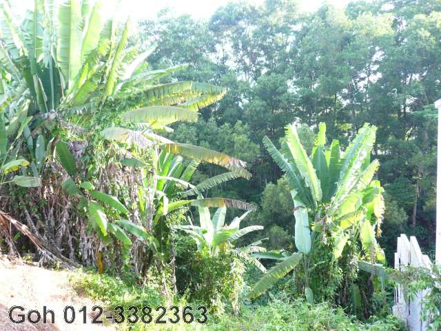 Reserve land at back of land