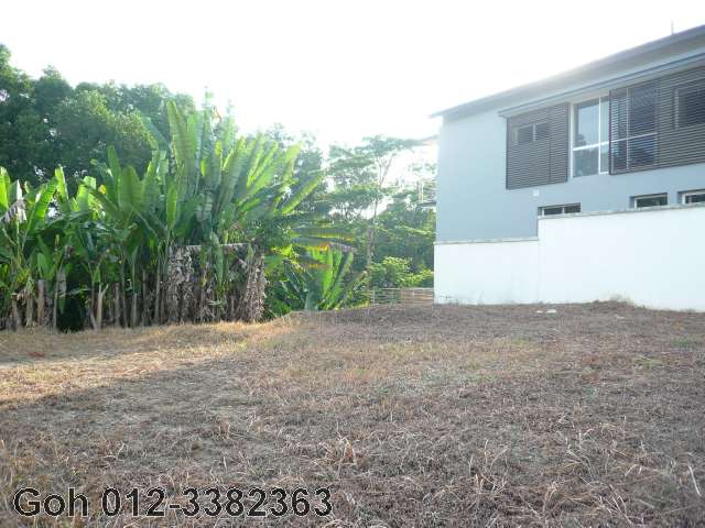 view from front looking into the land