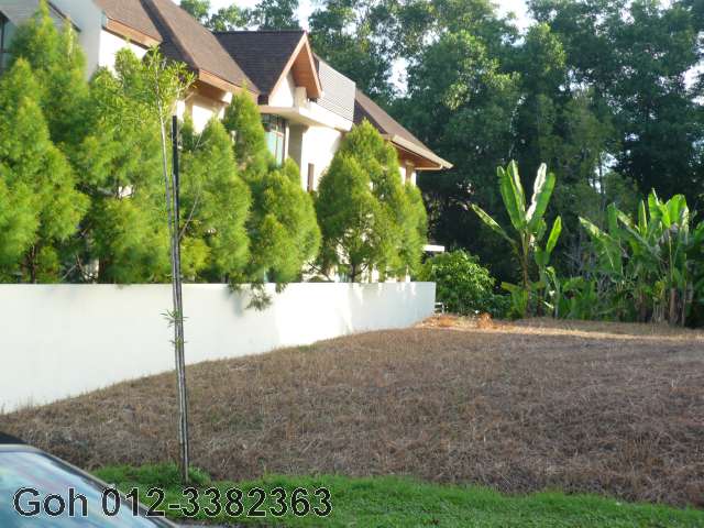 view from the back neighbour looking into the land