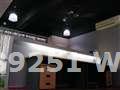 Wilson 019 3289251