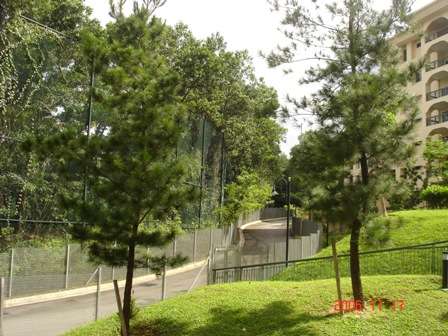 jogging track