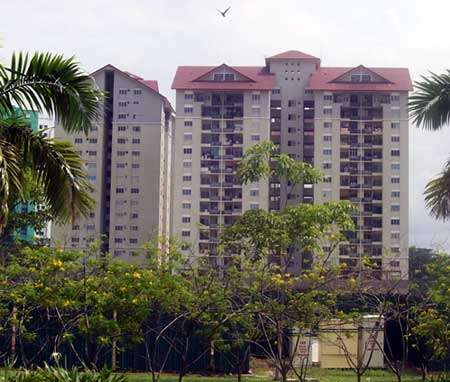 main picture
