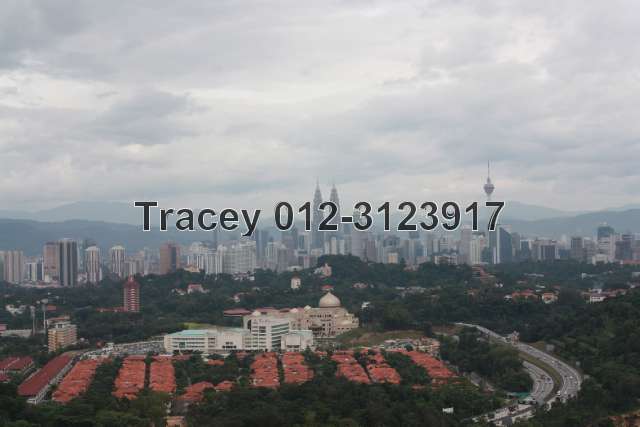 View (1)