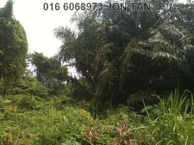 Front view industrial land