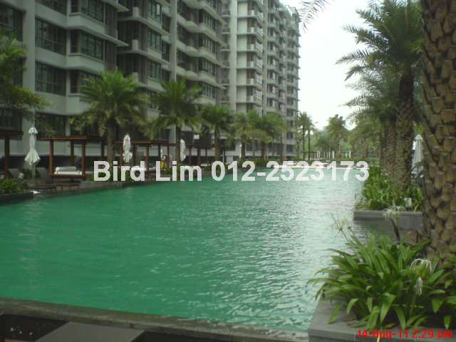Bali style swim pool