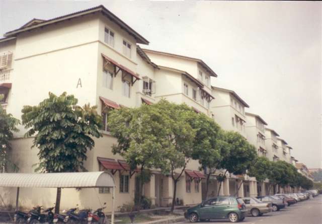 main picture