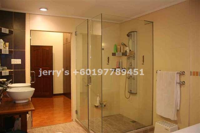 Master Bath Shower Cubicle