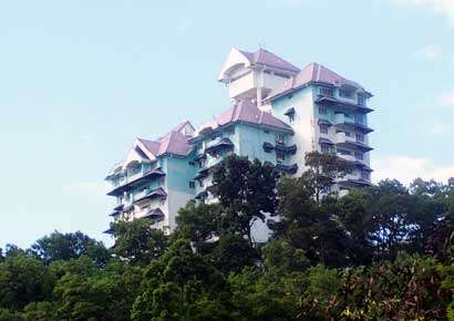 main picture