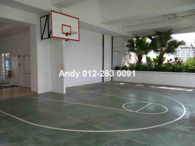 Basketbal Court