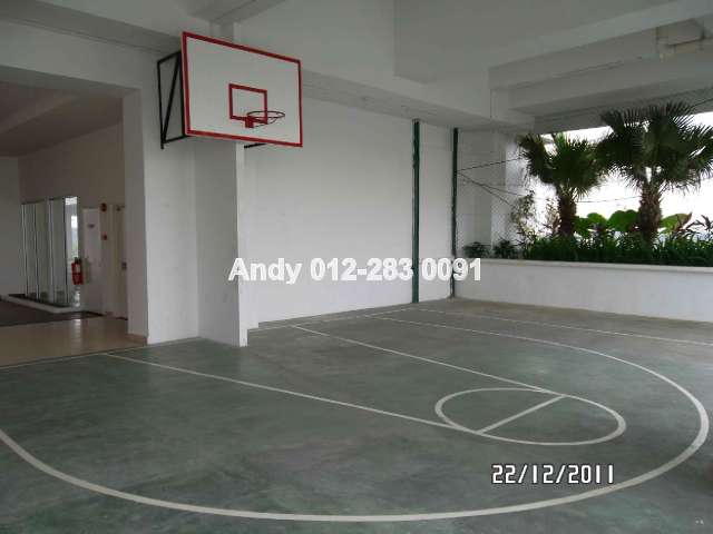 Basketball Court