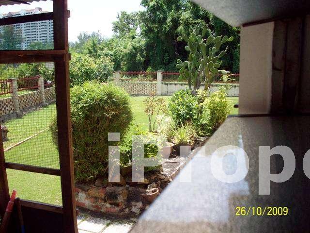 Garden from Upstairs