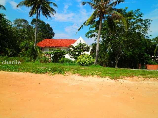 The Property