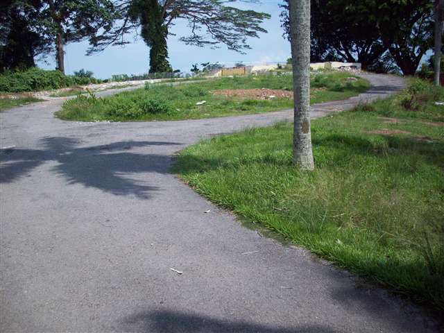 main picture