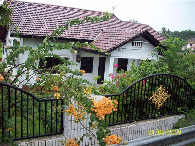 main picture