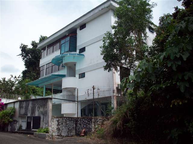 main picture