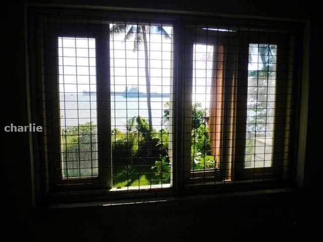 Upstairs window view