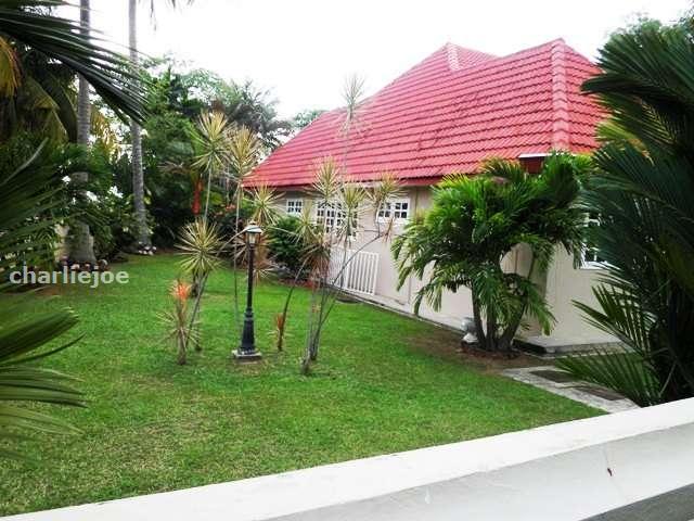 Side Garden