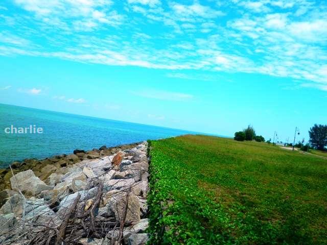 Retention Wall